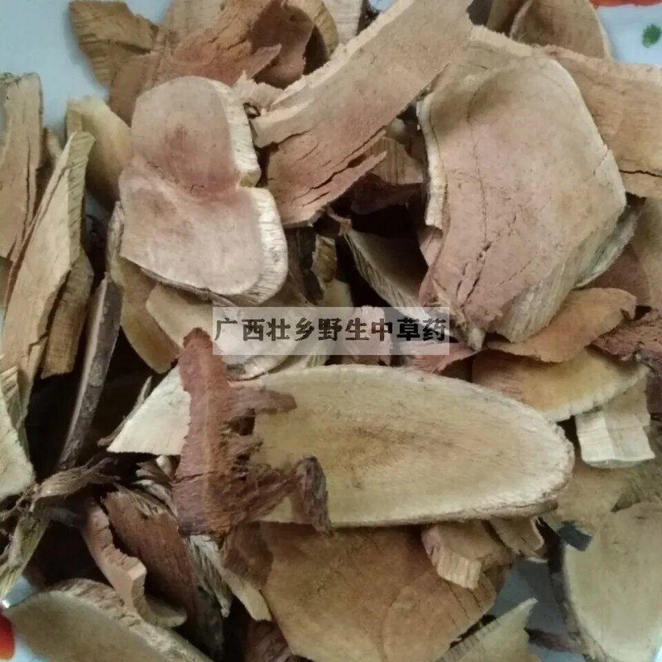 天然香椿树根 椿树 椿芽树 椿花春尖花 香椿铃纯根500g包邮