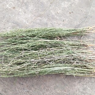 天然百蕊草 青龙草 百乳草 小草细须草 麦黄草 干货500g包邮