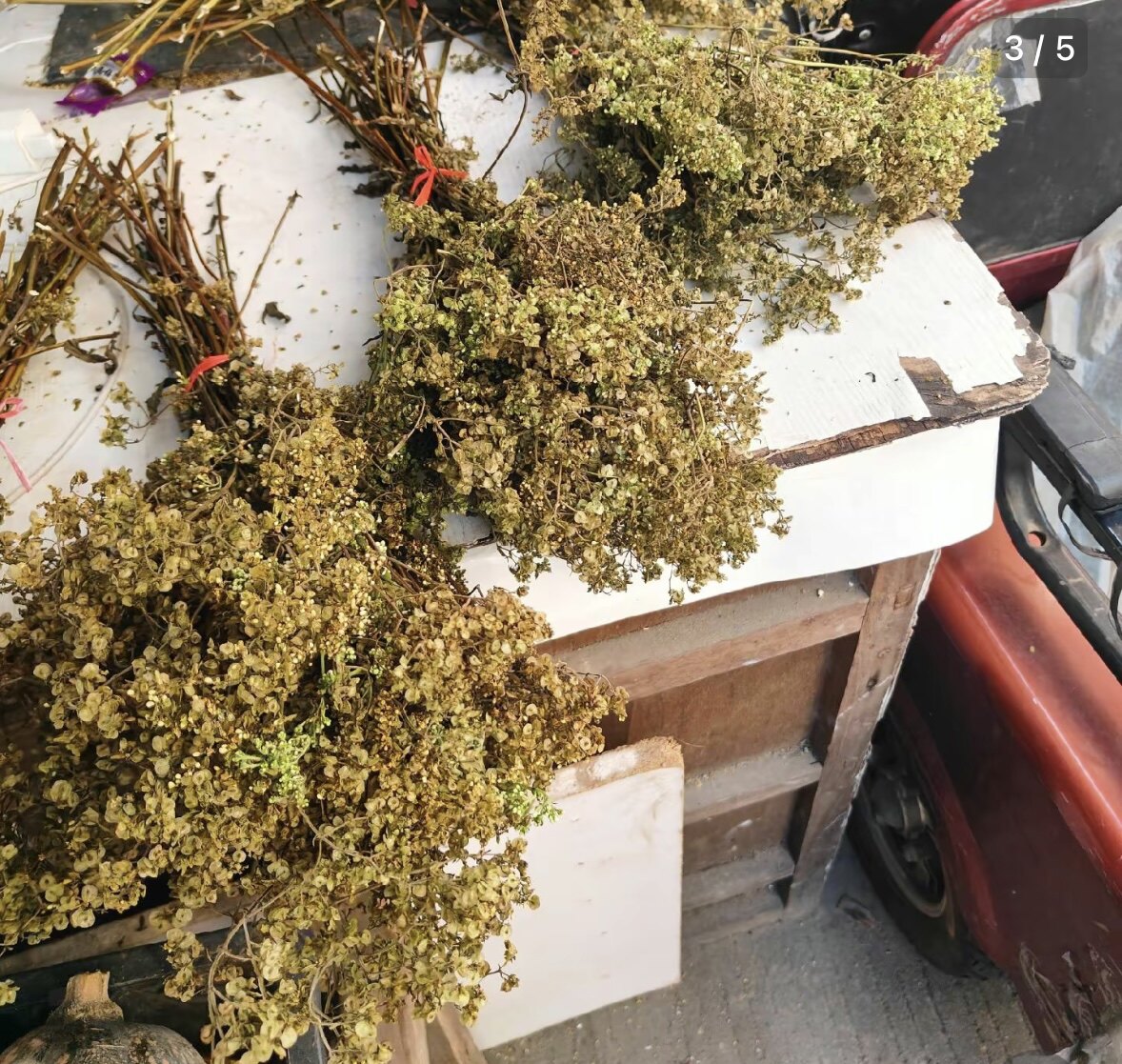天然白花败酱草 苦菜花 苦叶菜 野苦菜 四季菜 干货500g包邮