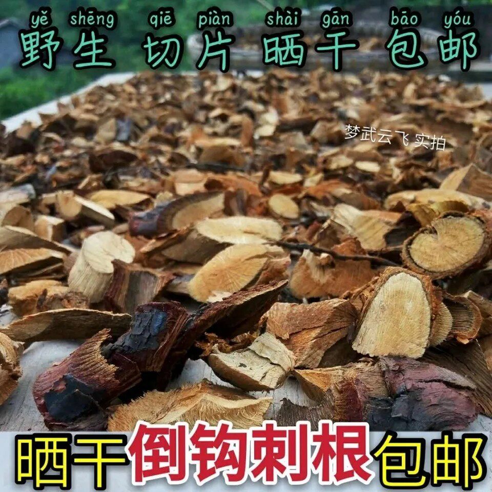 新鲜红刺藤根 小和尚头 细叶刺根 倒钩刺 山香木纯根干货500g