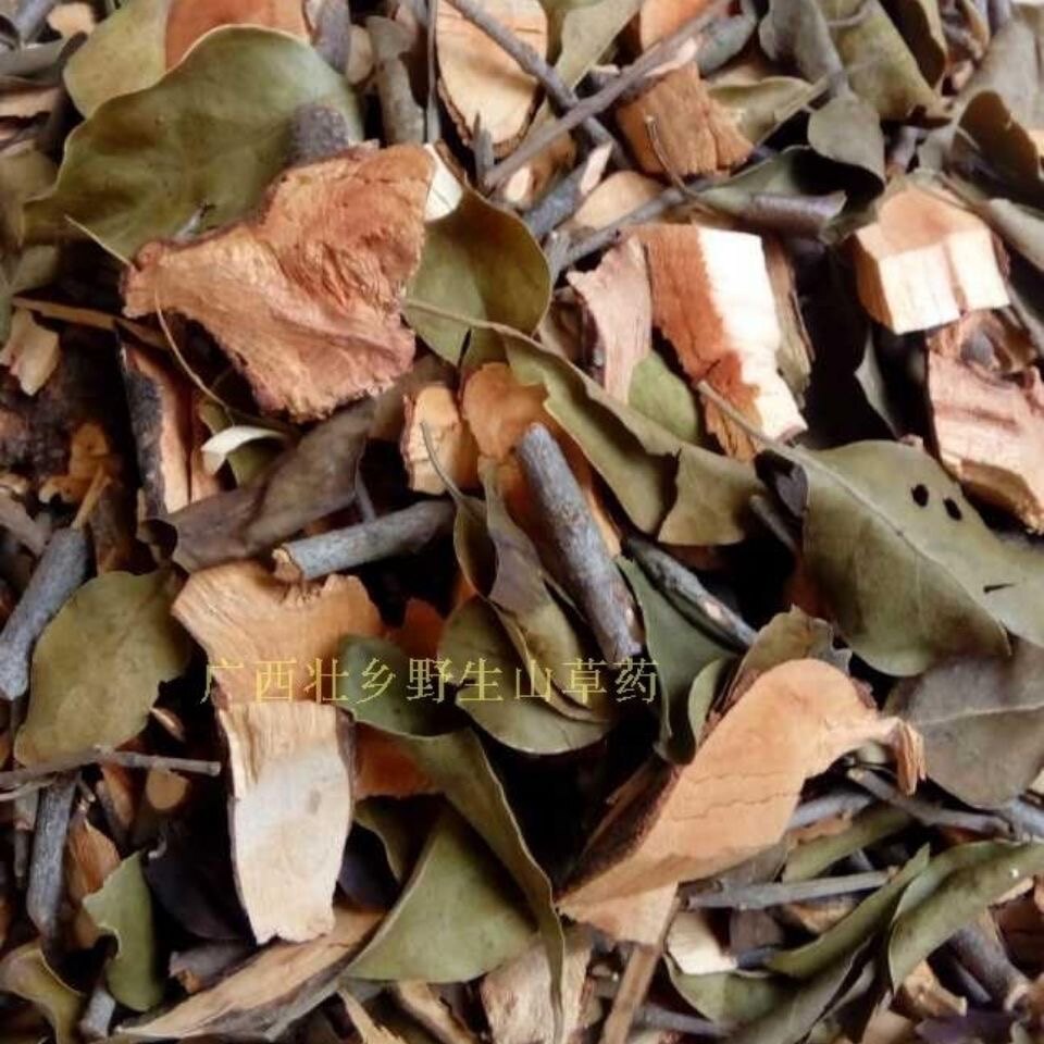 天然三叉苦寄生 三桠苦寄生 三丫苦寄生 三叉虎寄生干货500g