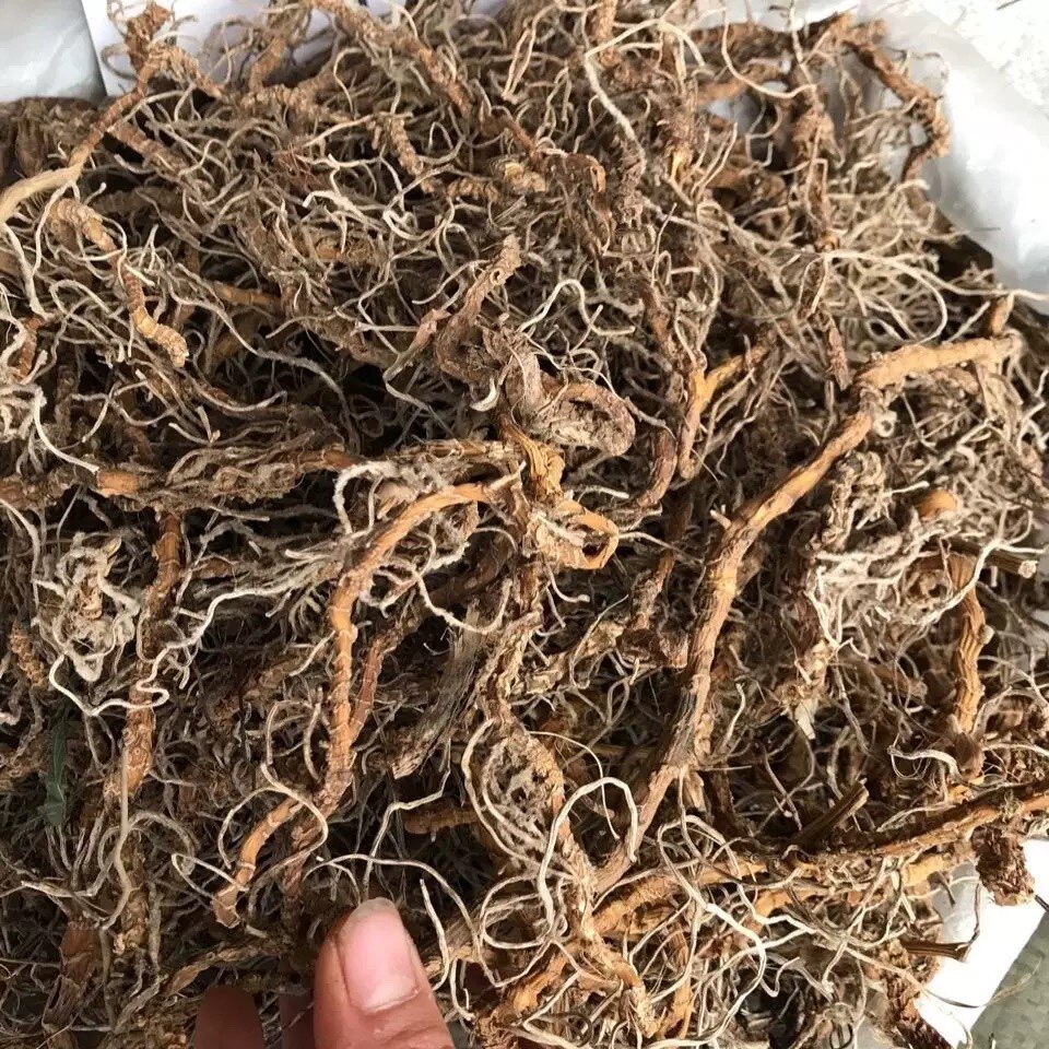 天然蜘蛛抱蛋 飞天蜈蚣 竹叶伸筋 九节龙 竹根七 九龙盘 干货500g