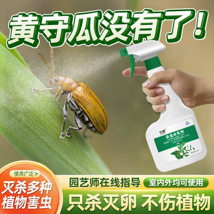 专杀黄守瓜药杀虫剂杀治灭防治专用预防红蜘蛛白粉虱专介壳虫虫害