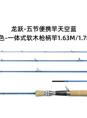 龙跃便携四节变五节竿威海小蜜蜂
