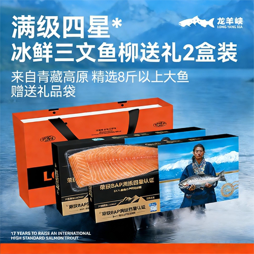 龙羊峡整片三文鱼柳高原虹鳟顺丰