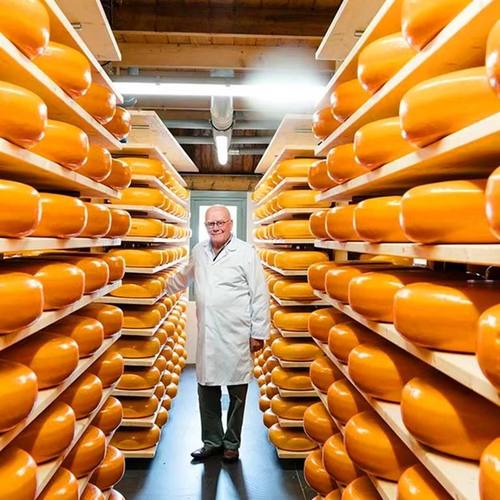 Kroon皇冠车轮黄波奶酪芝士500g 荷兰进口即食搭配红酒烘培原料