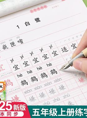 五年级上册下册课本同步语文字帖人教版练字帖小学生笔画笔顺初学5每日一练楷书专用21天写字帖贴生字练习本钢笔临摹儿童硬笔书法