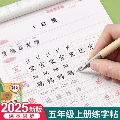 五年级上册下册同步字帖人教版