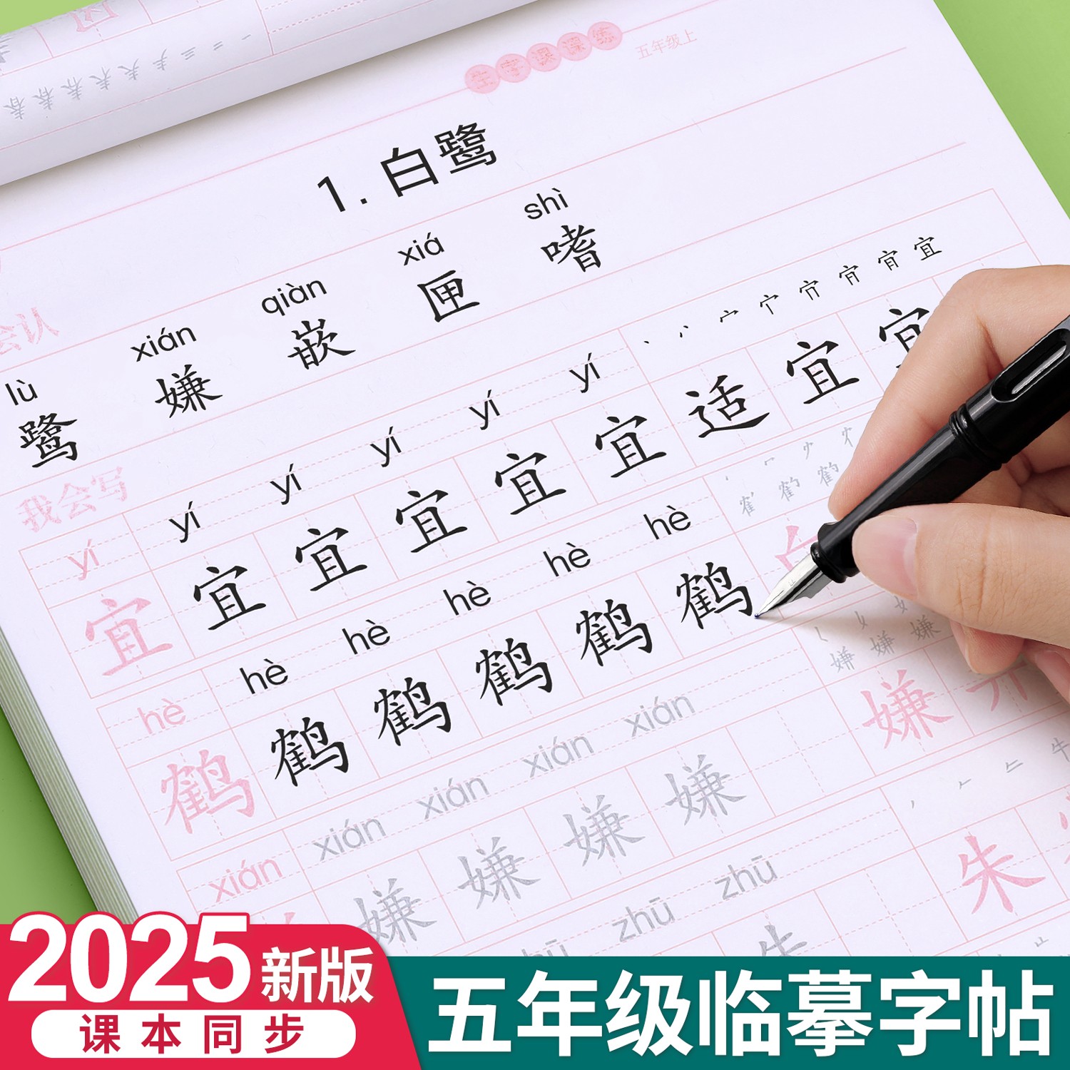 【2025新版】五年级上册同步字帖