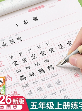 五年级上册下册课本同步语文字帖人教版练字帖小学生笔画笔顺初学5每日一练楷书专用21天写字帖贴生字练习本钢笔临摹儿童硬笔书法