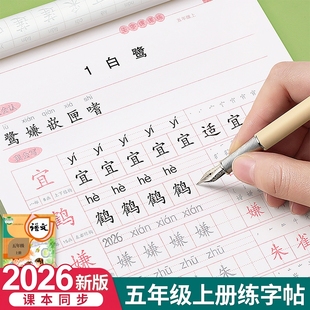 五年级上册下册课本同步语文字帖人教版练字帖小学生笔画笔顺初学5每日一练楷书专用21天写字帖贴生字练习本钢笔临摹儿童硬笔书法