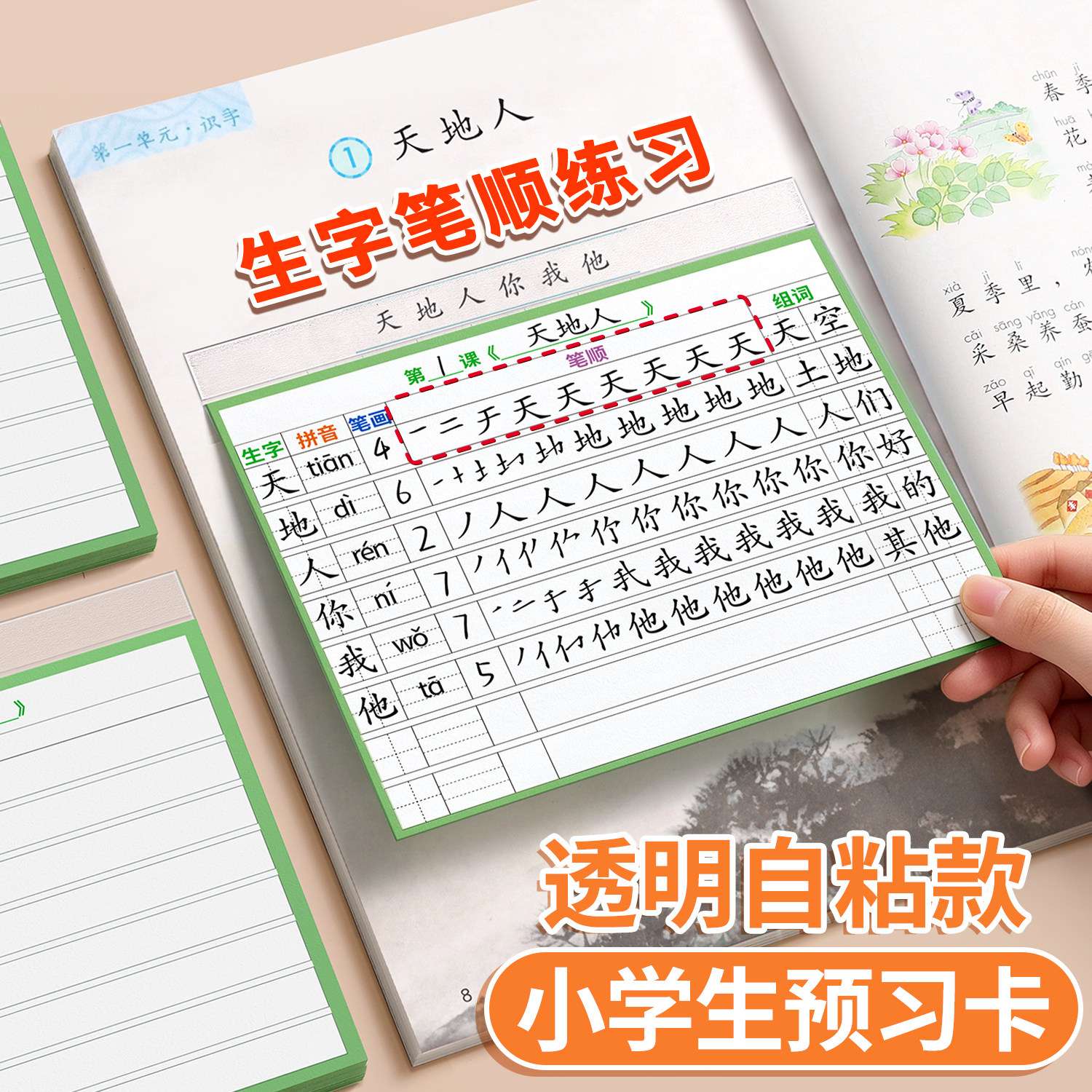 生字预习卡自粘语文小学生课课贴图片