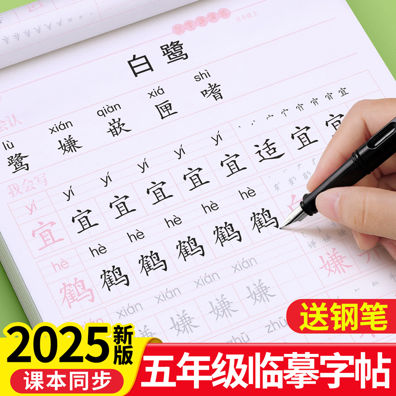 【2025新版】五年级上册同步字帖