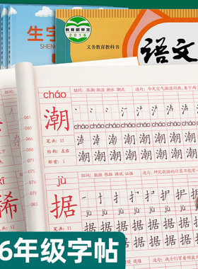 四年级五年级六上册下册字帖小学生练字帖人教版语文课文同步笔画笔顺硬笔书法描红本钢笔练字本楷书儿童练习专用写字帖每日一练4