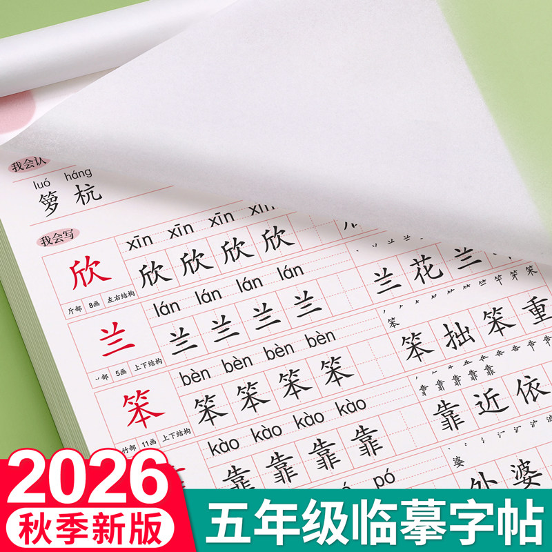 五年级上册下册课本同步语文字帖人教版练字帖小学生笔画笔顺初学5每日一练楷书专用21天写字帖贴生字练习本钢笔临摹儿童硬笔书法
