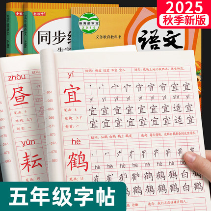 2025新版五年级上册练字帖小学生专用语文同步字帖人教版笔画笔顺每日一练钢笔练习字帖硬笔书法贴拼音描红本每日打卡写字表二类字