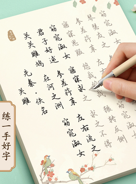 行楷字帖成人练字行书练字帖成年初中生女生字体大气漂亮高中生钢笔楷书练字贴硬笔书法专用古诗词楷体每日一练连笔字练习临摹速成