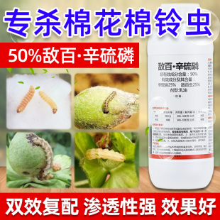 棉花专用药敌百辛硫磷棉花棉铃虫专用药蚜虫卵双杀农药杀虫剂大全