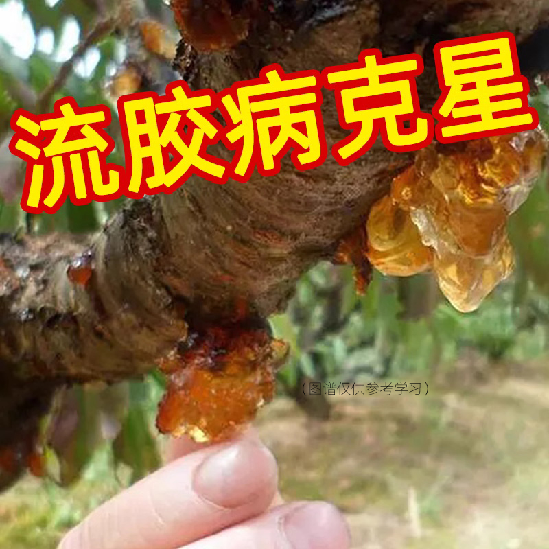 辛菌胺醋酸盐杀菌剂果树桃树流胶病专用药腐烂病果锈病蔬菜杀菌药 农用物资 杀菌剂 原图主图