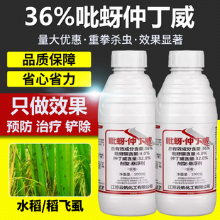 水稻专用农药杀虫剂水稻稻飞虱专用药效特药仲丁威吡蚜酮农用大全
