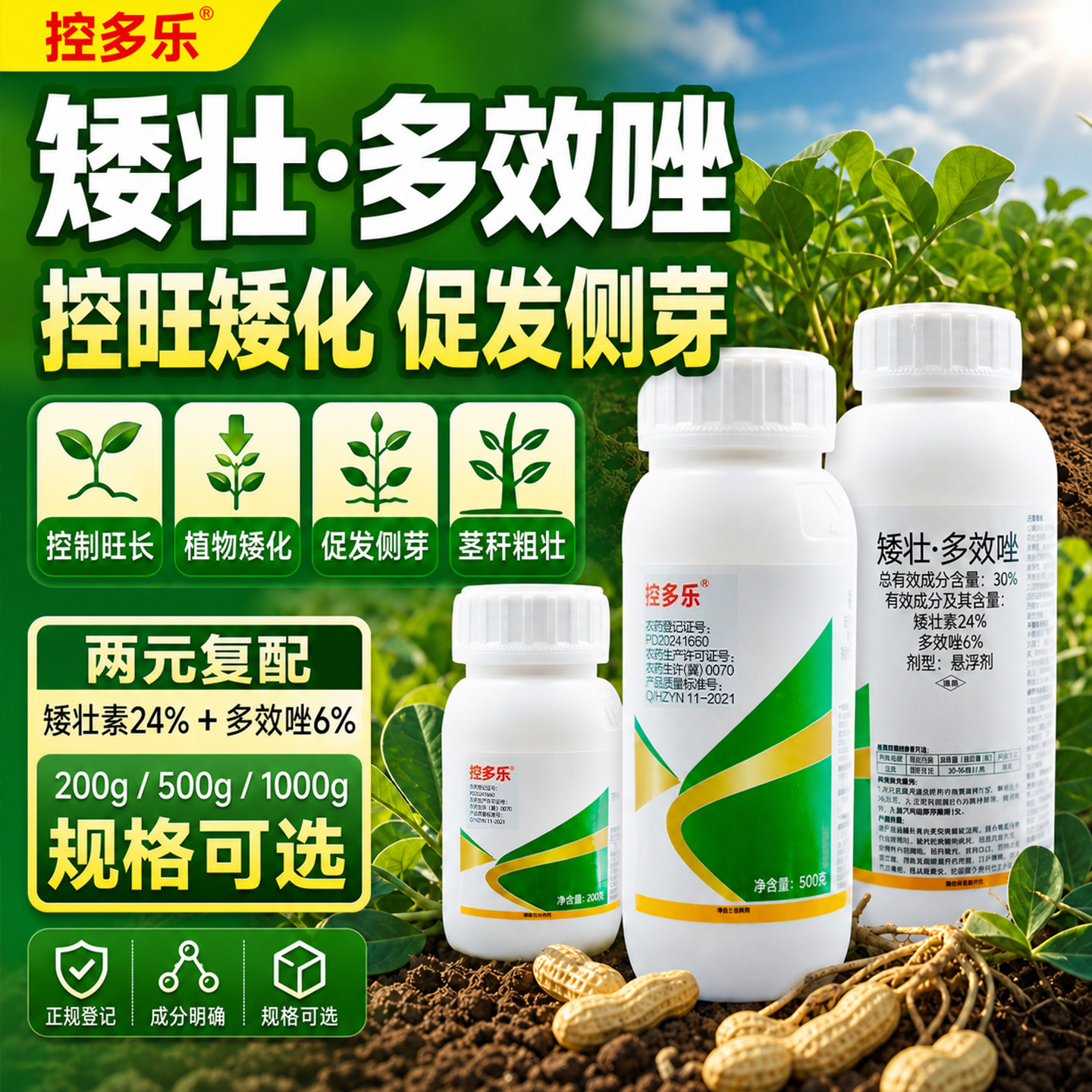 矮壮剂多效唑水仙花卉小麦玉米果树控旺药剂植物生长调节剂农药