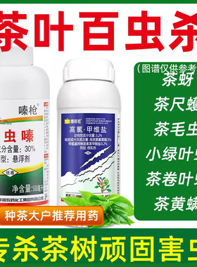 茶树专用虫卵双杀农药杀虫剂组合