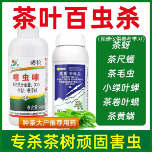 茶树专用农药茶叶杀虫剂蚜虫小绿叶蝉茶尺蠖专用药虫卵双杀噻虫嗪