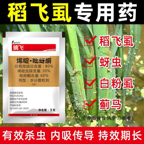 吡蚜酮抗性腻虫白粉虱