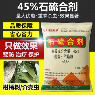 石硫石合剂清园农药冬季清园果树专用杀菌剂石硫合剂涂白剂高浓度