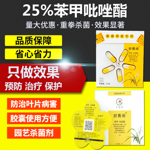 兰花多肉月季花卉黑斑病黑星病疫病白粉病专用药杀菌剂苯甲吡唑酯