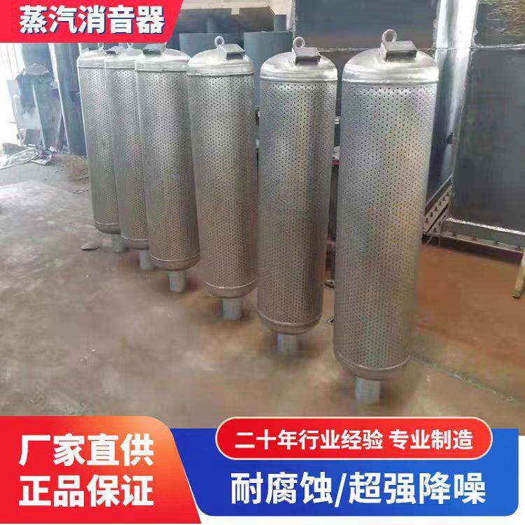 管道消音器消声器锅炉排汽风机蒸汽小孔消音器降噪空气气体消声器