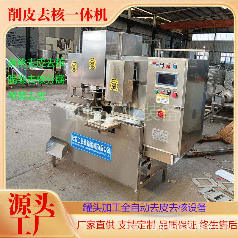 橙子削皮设备 去核加工生产线 带核水果罐头全自动商用去皮去核机