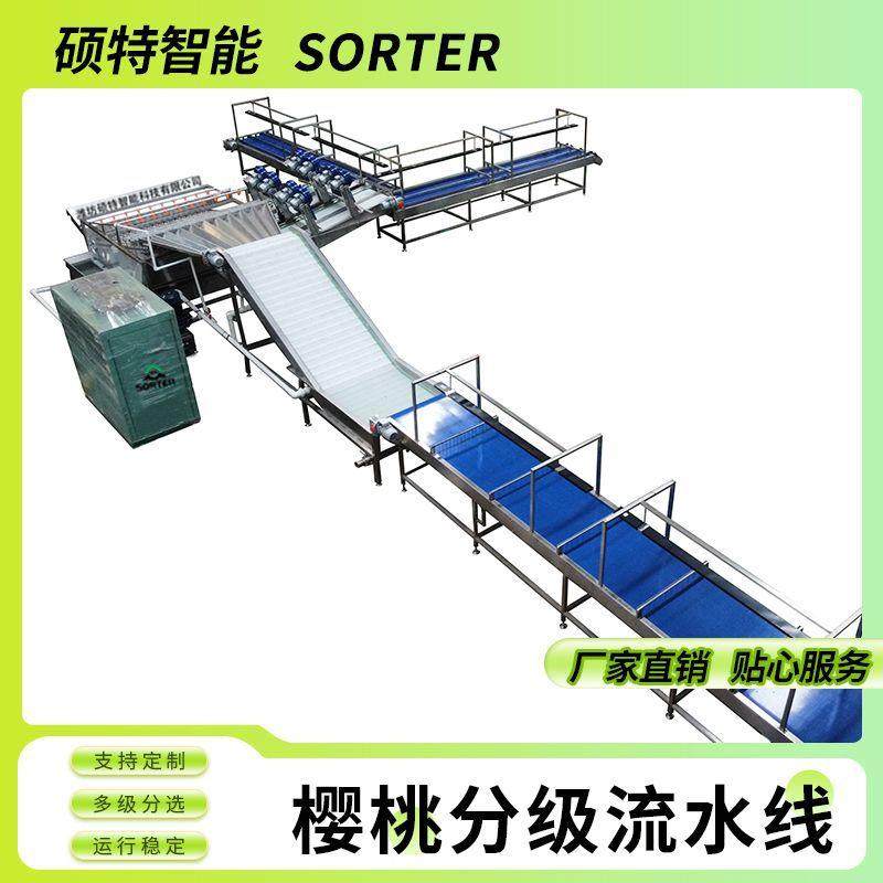 圣女果清洗分拣流水线 车厘子水膜直径分选机 樱桃滚杠式选果机,清洗/食品/商业设备,肉制品加工设备,淘宝优惠券,粉丝福利购,淘宝优惠卷