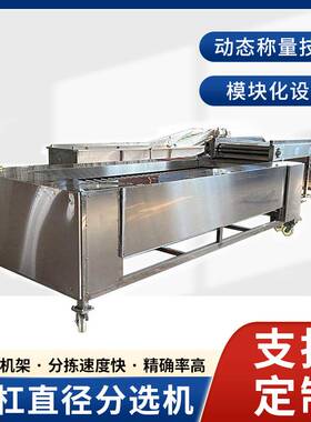 滚杠式水果直径大小分级机价格 沃柑土豆多级分拣设备操作简单