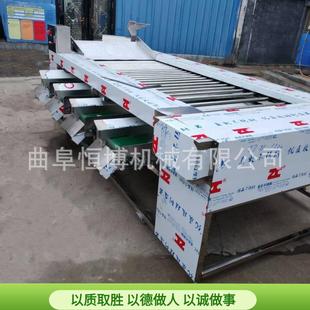 直销大型草莓分选机 大型不锈钢滚杠筛选机 商用洋葱西红柿筛选机