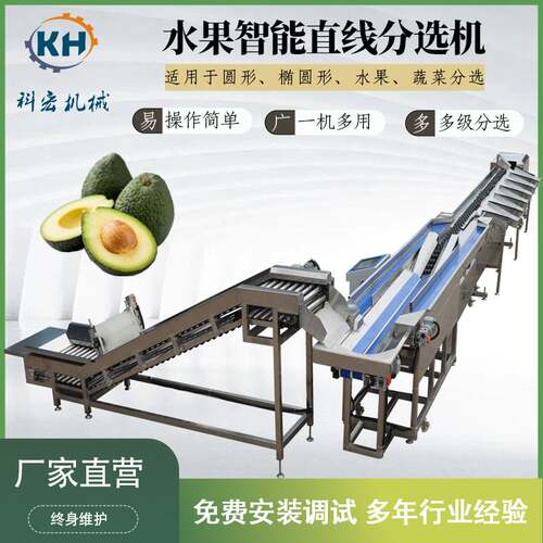 科宏机械水果直线分选机 人参果百香果牛油果智能分拣 重量分选