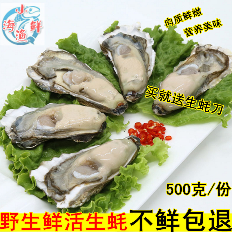 鲜活生蚝野生新鲜海蛎子牡蛎带壳海蛎海鲜水产烧烤食材满6斤包邮