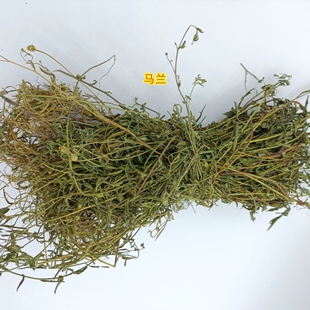 中药材干马兰根鱼鳅串泥鳅串田边菊泥鳅菜蓑衣莲路边菊鱼鳅窜无硫