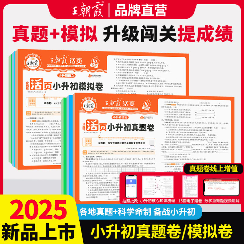 2025王朝霞小升初真题卷模拟卷语文数学英语考前突破刷重点校密卷套装六年级毕业总复习各地真题试卷综合能力验收卷小专项总复习