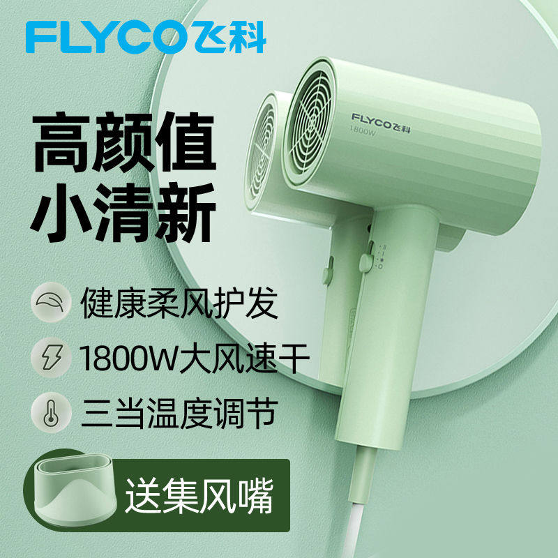飞科电吹风家用宿舍用FH6296大功率1800W恒温护发冷热风筒学生