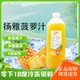 扬雅冷冻菠萝汁2L鲜果榨汁杀菌罐装 0添加调酒咖啡奶茶商用果汁