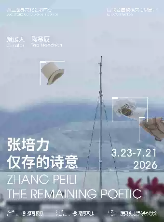 张培力:仅存的诗意