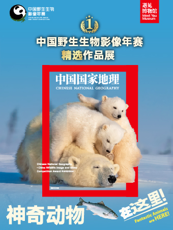 神奇动物在这里——中国野生生物影像年赛精选作品展-自渠