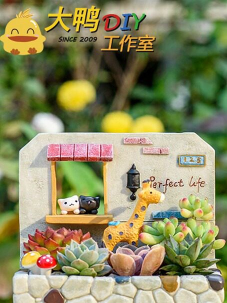 上海大鸭DIY手工坊 多肉植物微景观DIY手作