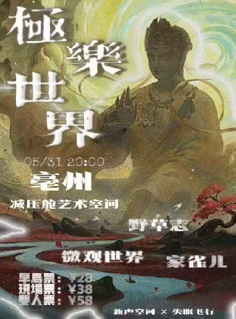 家雀儿亳州演唱会
