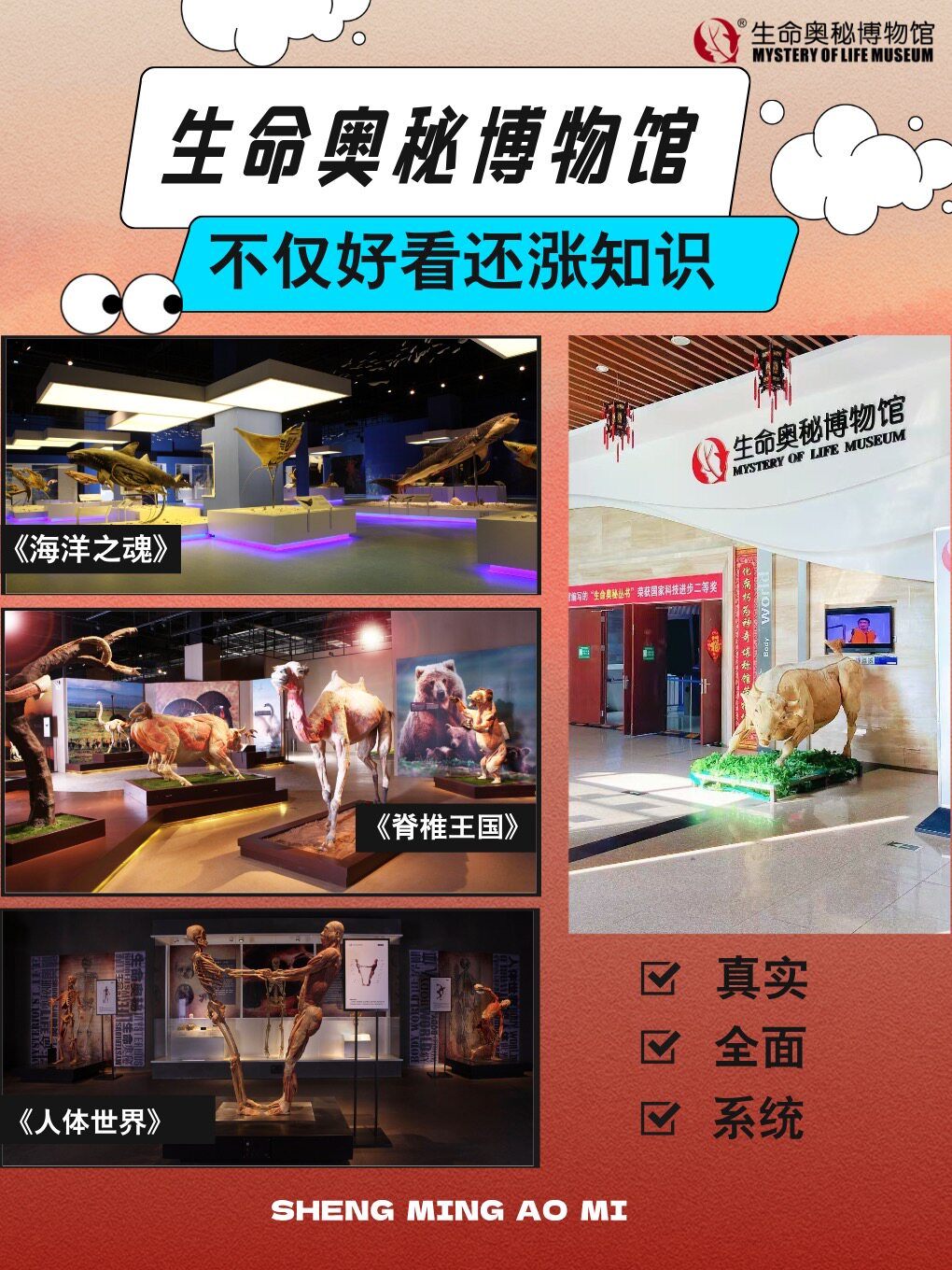 门票 大连金石滩生命奥秘博物馆