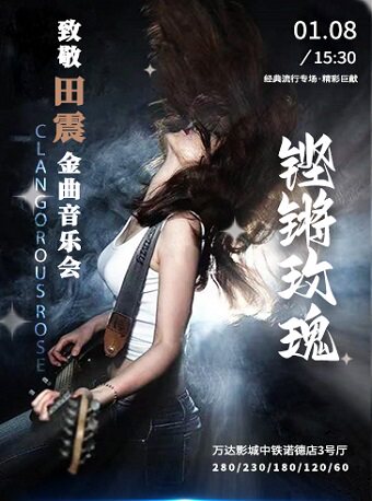 天津《铿锵玫瑰—致敬田震金曲视听会》