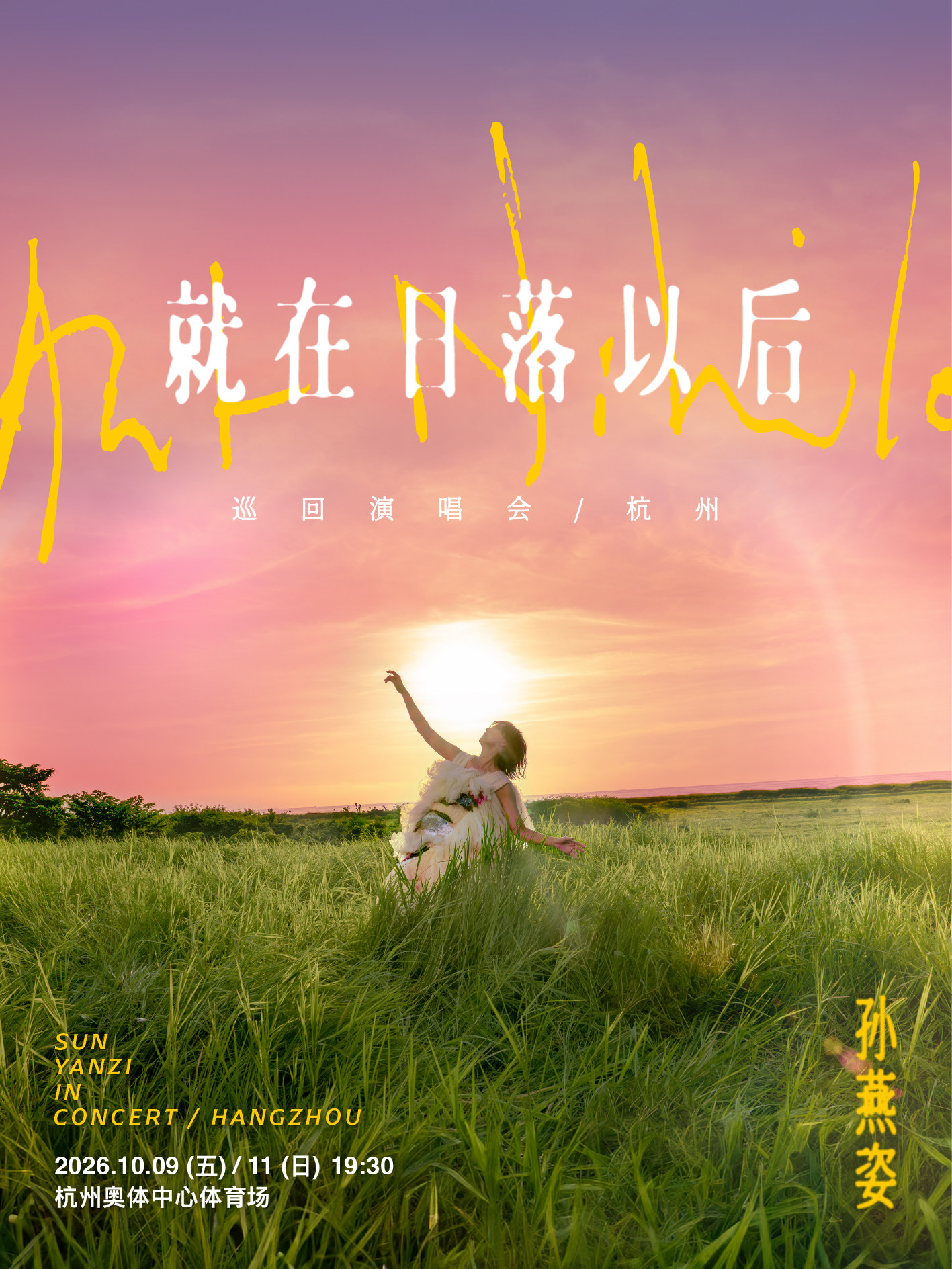 孙燕姿《就在日落以后》巡回演唱会 - 杭州