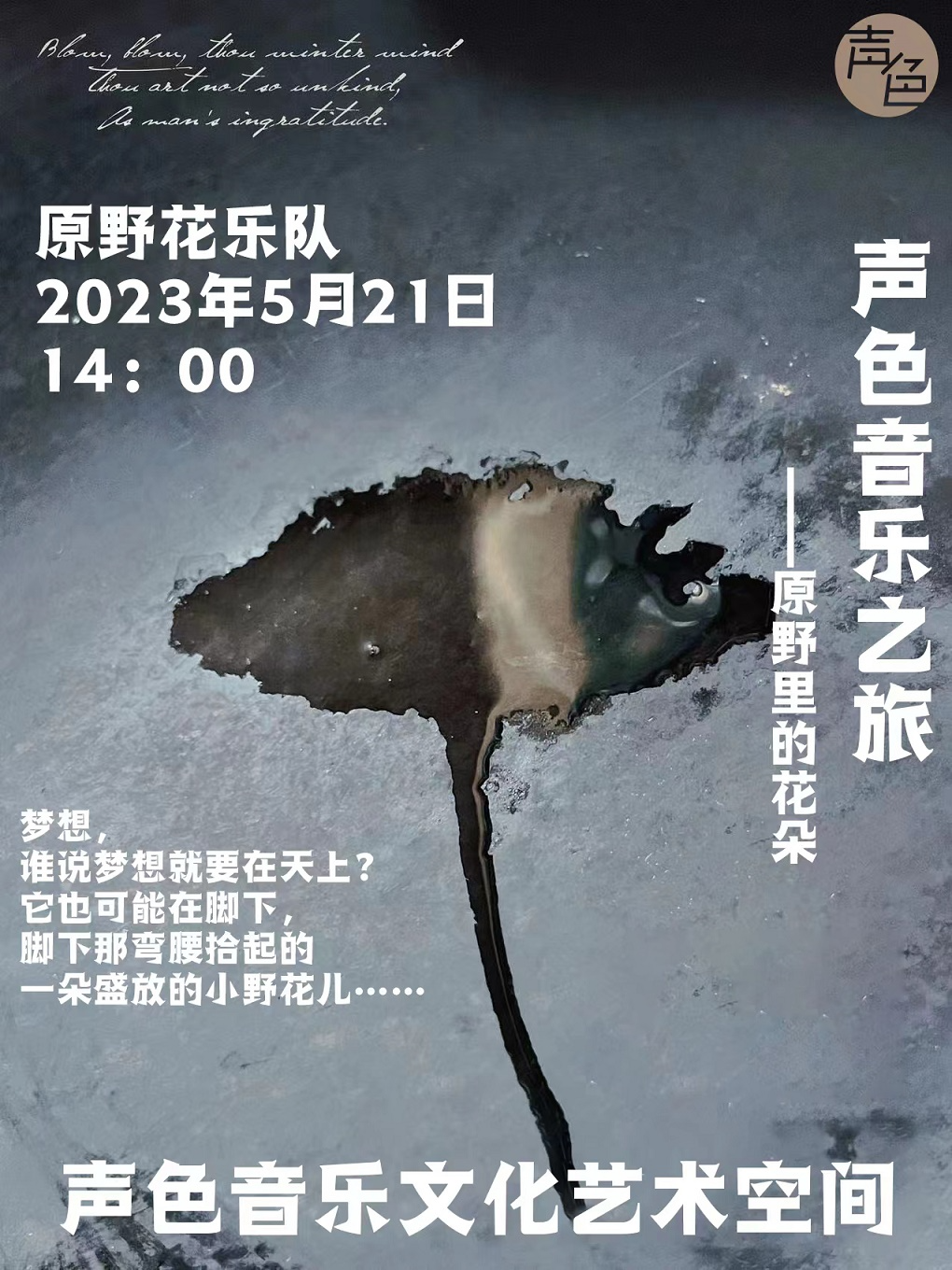 天津原野中的花朵