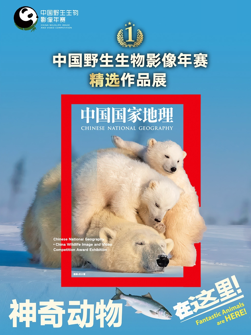 杭州神奇动物在这里——中国野生生物影像年赛精选作品展